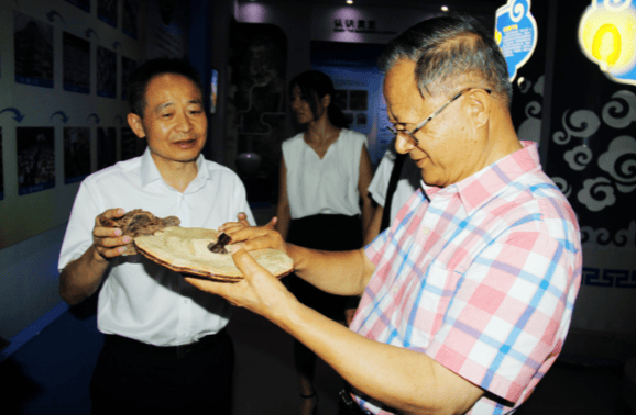 中國靈芝十大品牌|仙客來靈芝|仙客來靈芝破壁孢子粉|仙客來孢子油|仙客來靈芝飲片|仙客來破壁孢子粉|仙客來靈芝中藥飲片|馳名商標|m.ampersand-ads.com| 中國靈芝十大品牌|仙客來靈芝|仙客來靈芝破壁孢子粉|仙客來孢子油|仙客來靈芝飲片|仙客來破壁孢子粉|仙客來靈芝中藥飲片|馳名商標|m.ampersand-ads.com|
