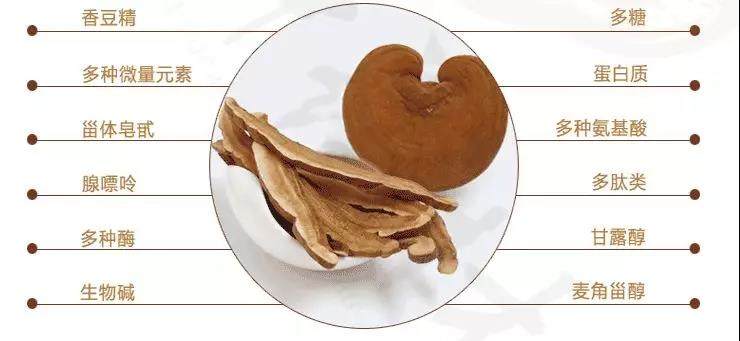 中國靈芝十大品牌|仙客來靈芝|仙客來靈芝破壁孢子粉|仙客來孢子油|仙客來靈芝飲片|仙客來破壁孢子粉|仙客來靈芝中藥飲片|馳名商標|m.ampersand-ads.com| 中國靈芝十大品牌|仙客來靈芝|仙客來靈芝破壁孢子粉|仙客來孢子油|仙客來靈芝飲片|仙客來破壁孢子粉|仙客來靈芝中藥飲片|馳名商標|m.ampersand-ads.com|