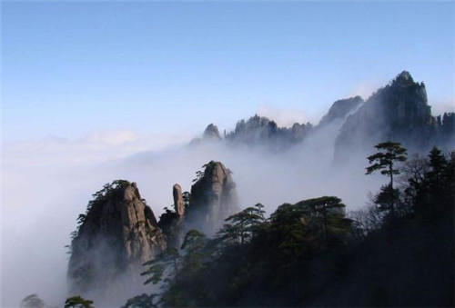 中國靈芝十大品牌|仙客來靈芝|仙客來靈芝破壁孢子粉|仙客來孢子油|仙客來靈芝飲片|仙客來破壁孢子粉|仙客來靈芝中藥飲片|馳名商標|m.ampersand-ads.com|