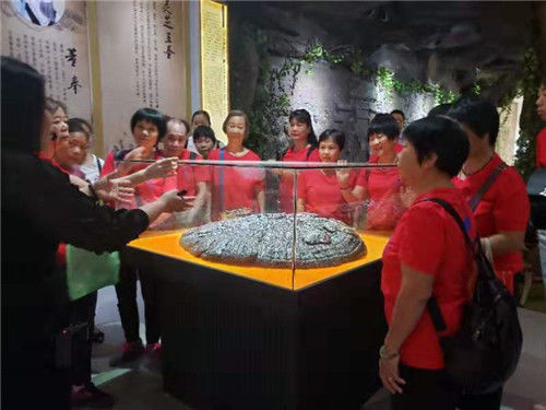 中國靈芝十大品牌|仙客來靈芝|仙客來靈芝破壁孢子粉|仙客來孢子油|仙客來靈芝飲片|仙客來破壁孢子粉|仙客來靈芝中藥飲片|馳名商標(biāo)|m.ampersand-ads.com|