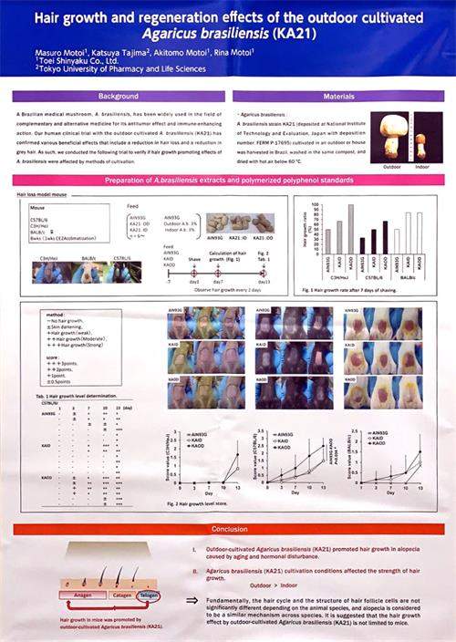中國靈芝十大品牌|仙客來靈芝|仙客來靈芝破壁孢子粉|仙客來孢子油|仙客來靈芝飲片|仙客來破壁孢子粉|仙客來靈芝中藥飲片|馳名商標|m.ampersand-ads.com|