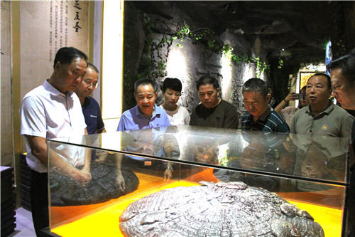 中國(guó)靈芝十大品牌|仙客來靈芝|仙客來靈芝破壁孢子粉|仙客來孢子油|仙客來靈芝飲片|仙客來破壁孢子粉|仙客來靈芝中藥飲片|馳名商標(biāo)|m.ampersand-ads.com|