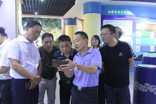 中國(guó)靈芝十大品牌|仙客來靈芝|仙客來靈芝破壁孢子粉|仙客來孢子油|仙客來靈芝飲片|仙客來破壁孢子粉|仙客來靈芝中藥飲片|馳名商標(biāo)|m.ampersand-ads.com|