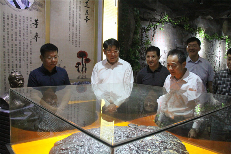 中國靈芝十大品牌|仙客來靈芝|仙客來靈芝破壁孢子粉|仙客來孢子油|仙客來靈芝飲片|仙客來破壁孢子粉|仙客來靈芝中藥飲片|馳名商標(biāo)|m.ampersand-ads.com| 中國靈芝十大品牌|仙客來靈芝|仙客來靈芝破壁孢子粉|仙客來孢子油|仙客來靈芝飲片|仙客來破壁孢子粉|仙客來靈芝中藥飲片|馳名商標(biāo)|m.ampersand-ads.com|