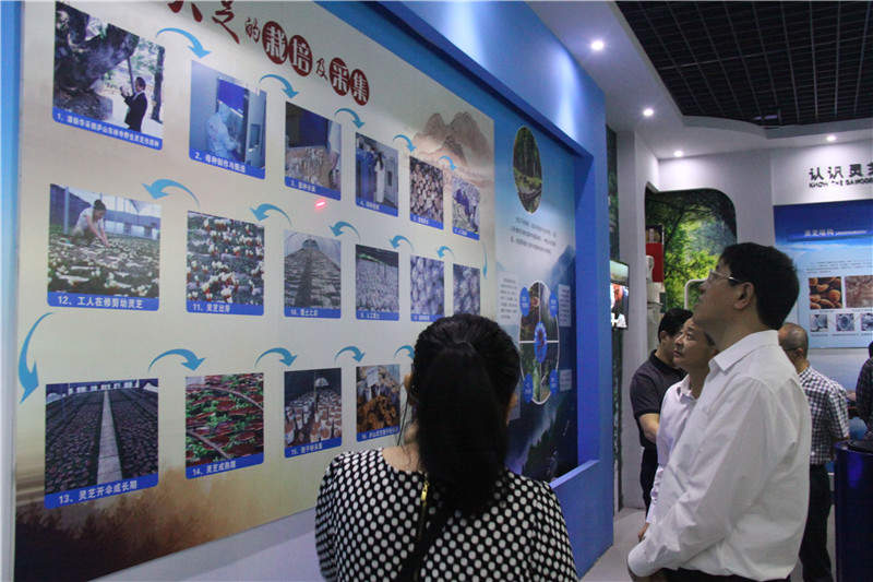 中國靈芝十大品牌|仙客來靈芝|仙客來靈芝破壁孢子粉|仙客來孢子油|仙客來靈芝飲片|仙客來破壁孢子粉|仙客來靈芝中藥飲片|馳名商標(biāo)|m.ampersand-ads.com| 中國靈芝十大品牌|仙客來靈芝|仙客來靈芝破壁孢子粉|仙客來孢子油|仙客來靈芝飲片|仙客來破壁孢子粉|仙客來靈芝中藥飲片|馳名商標(biāo)|m.ampersand-ads.com|