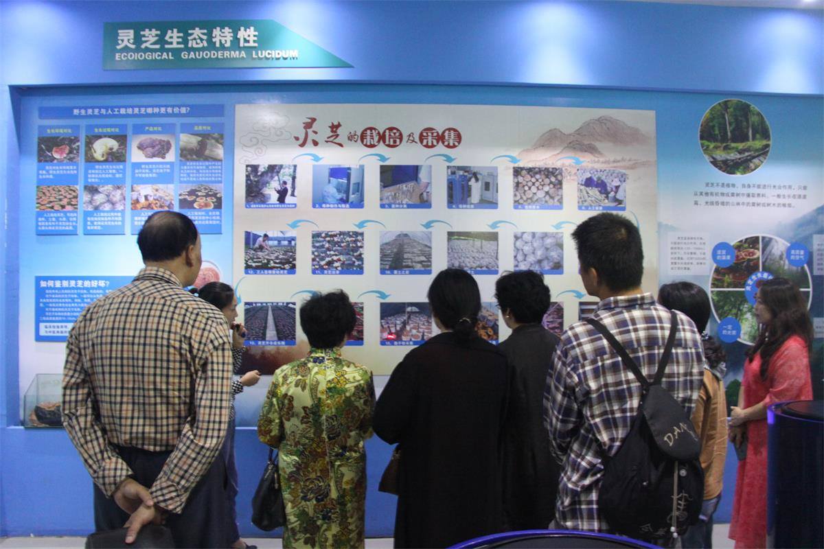 中國靈芝十大品牌|仙客來靈芝|仙客來靈芝破壁孢子粉|仙客來孢子油|仙客來靈芝飲片|仙客來破壁孢子粉|仙客來靈芝中藥飲片|馳名商標(biāo)|m.ampersand-ads.com| 中國靈芝十大品牌|仙客來靈芝|仙客來靈芝破壁孢子粉|仙客來孢子油|仙客來靈芝飲片|仙客來破壁孢子粉|仙客來靈芝中藥飲片|馳名商標(biāo)|m.ampersand-ads.com|