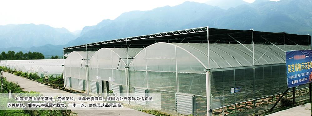 中國靈芝十大品牌|仙客來靈芝|仙客來靈芝破壁孢子粉|仙客來孢子油|仙客來靈芝飲片|仙客來破壁孢子粉|仙客來靈芝中藥飲片|馳名商標(biāo)|m.ampersand-ads.com| 中國靈芝十大品牌|仙客來靈芝|仙客來靈芝破壁孢子粉|仙客來孢子油|仙客來靈芝飲片|仙客來破壁孢子粉|仙客來靈芝中藥飲片|馳名商標(biāo)|m.ampersand-ads.com|