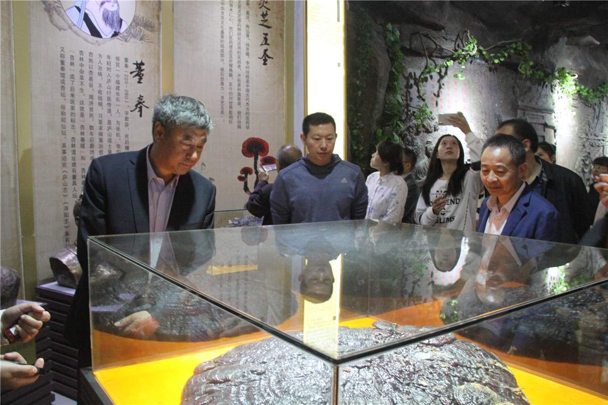 中國靈芝十大品牌|仙客來靈芝|仙客來靈芝破壁孢子粉|仙客來孢子油|仙客來靈芝飲片|仙客來破壁孢子粉|仙客來靈芝中藥飲片|馳名商標|m.ampersand-ads.com| 中國靈芝十大品牌|仙客來靈芝|仙客來靈芝破壁孢子粉|仙客來孢子油|仙客來靈芝飲片|仙客來破壁孢子粉|仙客來靈芝中藥飲片|馳名商標|m.ampersand-ads.com|