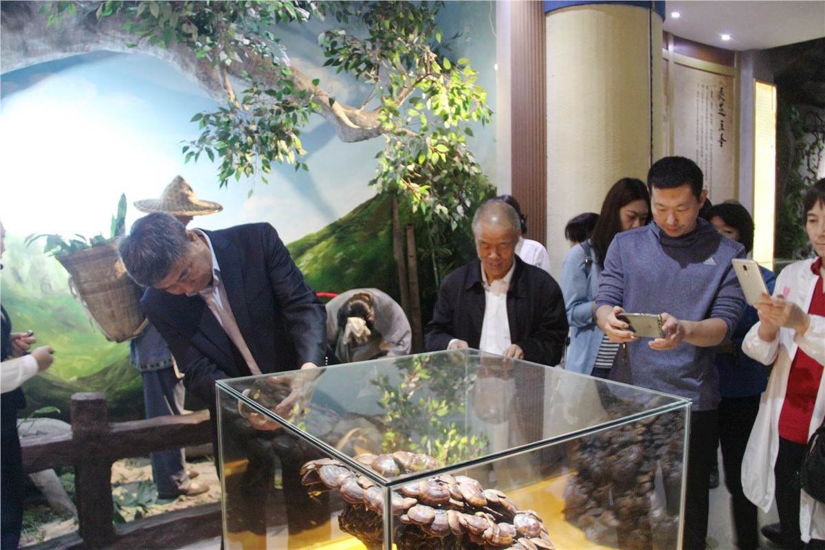 中國靈芝十大品牌|仙客來靈芝|仙客來靈芝破壁孢子粉|仙客來孢子油|仙客來靈芝飲片|仙客來破壁孢子粉|仙客來靈芝中藥飲片|馳名商標|m.ampersand-ads.com| 中國靈芝十大品牌|仙客來靈芝|仙客來靈芝破壁孢子粉|仙客來孢子油|仙客來靈芝飲片|仙客來破壁孢子粉|仙客來靈芝中藥飲片|馳名商標|m.ampersand-ads.com|