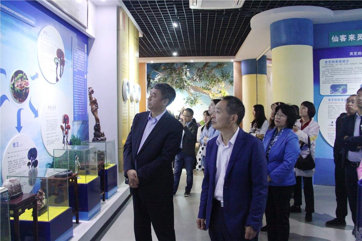 中國靈芝十大品牌|仙客來靈芝|仙客來靈芝破壁孢子粉|仙客來孢子油|仙客來靈芝飲片|仙客來破壁孢子粉|仙客來靈芝中藥飲片|馳名商標|m.ampersand-ads.com| 中國靈芝十大品牌|仙客來靈芝|仙客來靈芝破壁孢子粉|仙客來孢子油|仙客來靈芝飲片|仙客來破壁孢子粉|仙客來靈芝中藥飲片|馳名商標|m.ampersand-ads.com|