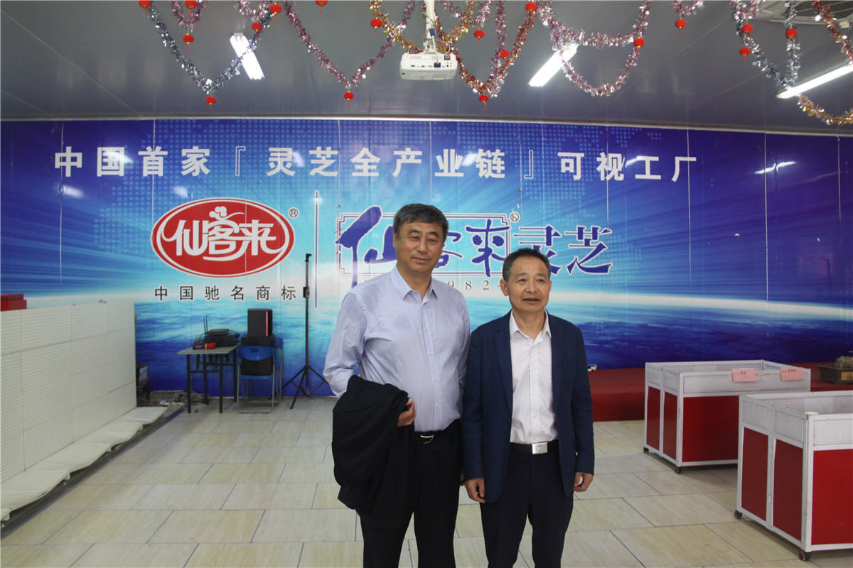 中國靈芝十大品牌|仙客來靈芝|仙客來靈芝破壁孢子粉|仙客來孢子油|仙客來靈芝飲片|仙客來破壁孢子粉|仙客來靈芝中藥飲片|馳名商標|m.ampersand-ads.com| 中國靈芝十大品牌|仙客來靈芝|仙客來靈芝破壁孢子粉|仙客來孢子油|仙客來靈芝飲片|仙客來破壁孢子粉|仙客來靈芝中藥飲片|馳名商標|m.ampersand-ads.com|