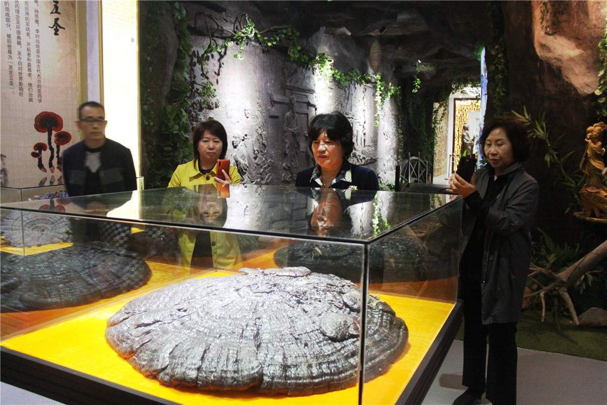 中國(guó)靈芝十大品牌|仙客來(lái)靈芝|仙客來(lái)靈芝破壁孢子粉|仙客來(lái)孢子油|仙客來(lái)靈芝飲片|仙客來(lái)破壁孢子粉|仙客來(lái)靈芝中藥飲片|馳名商標(biāo)|m.ampersand-ads.com| 中國(guó)靈芝十大品牌|仙客來(lái)靈芝|仙客來(lái)靈芝破壁孢子粉|仙客來(lái)孢子油|仙客來(lái)靈芝飲片|仙客來(lái)破壁孢子粉|仙客來(lái)靈芝中藥飲片|馳名商標(biāo)|m.ampersand-ads.com|