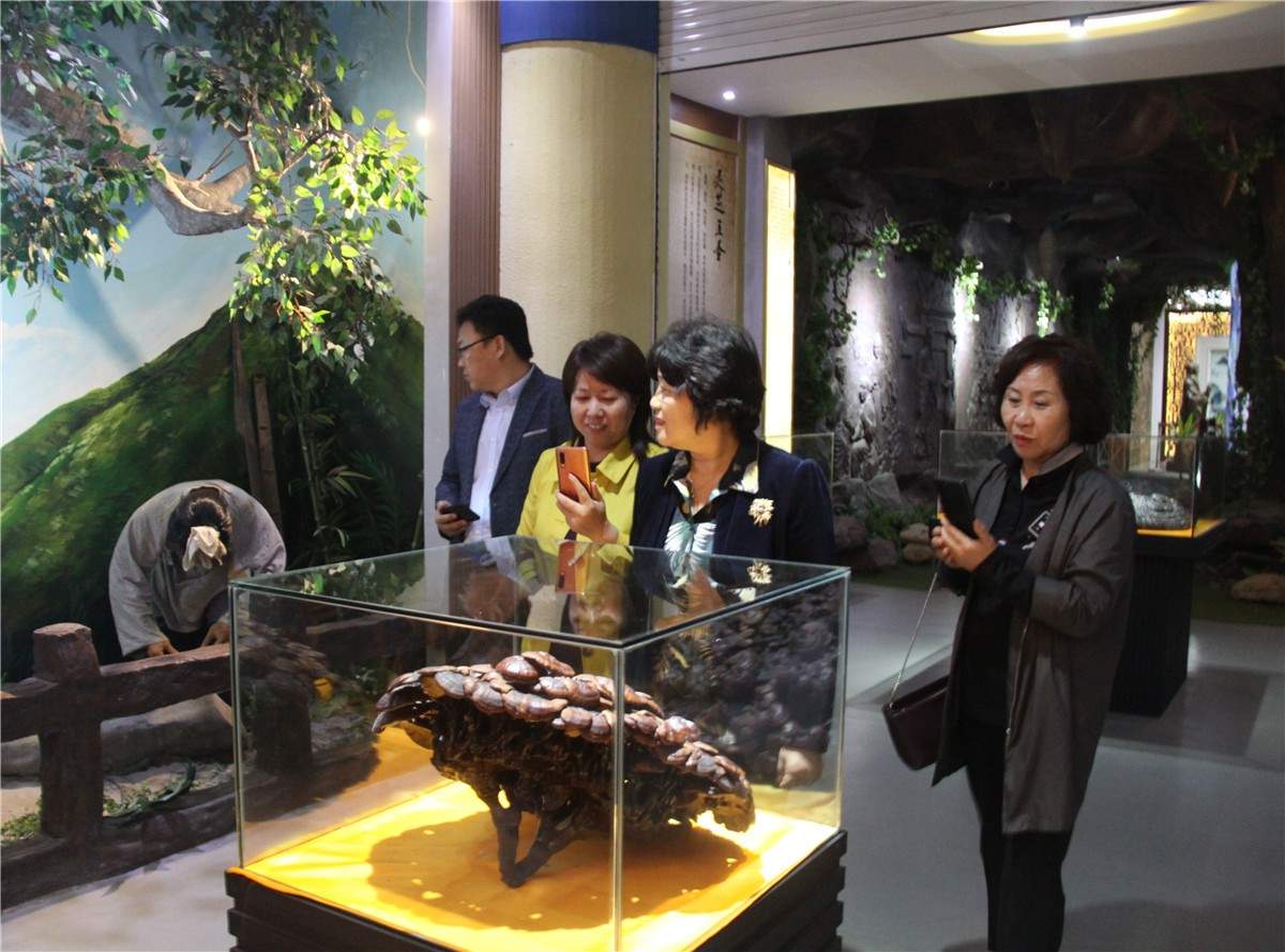 中國(guó)靈芝十大品牌|仙客來(lái)靈芝|仙客來(lái)靈芝破壁孢子粉|仙客來(lái)孢子油|仙客來(lái)靈芝飲片|仙客來(lái)破壁孢子粉|仙客來(lái)靈芝中藥飲片|馳名商標(biāo)|m.ampersand-ads.com| 中國(guó)靈芝十大品牌|仙客來(lái)靈芝|仙客來(lái)靈芝破壁孢子粉|仙客來(lái)孢子油|仙客來(lái)靈芝飲片|仙客來(lái)破壁孢子粉|仙客來(lái)靈芝中藥飲片|馳名商標(biāo)|m.ampersand-ads.com|