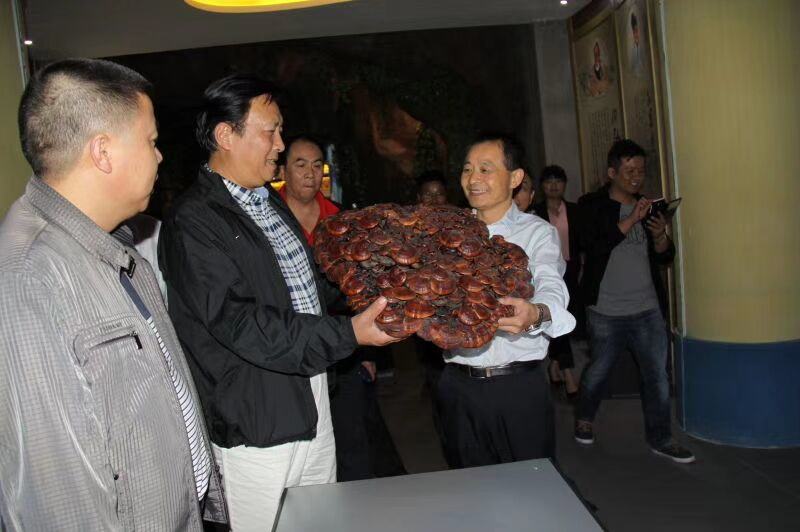 中國靈芝十大品牌|仙客來靈芝|仙客來靈芝破壁孢子粉|仙客來孢子油|仙客來靈芝飲片|仙客來破壁孢子粉|仙客來靈芝中藥飲片|馳名商標(biāo)|m.ampersand-ads.com| 中國靈芝十大品牌|仙客來靈芝|仙客來靈芝破壁孢子粉|仙客來孢子油|仙客來靈芝飲片|仙客來破壁孢子粉|仙客來靈芝中藥飲片|馳名商標(biāo)|m.ampersand-ads.com|