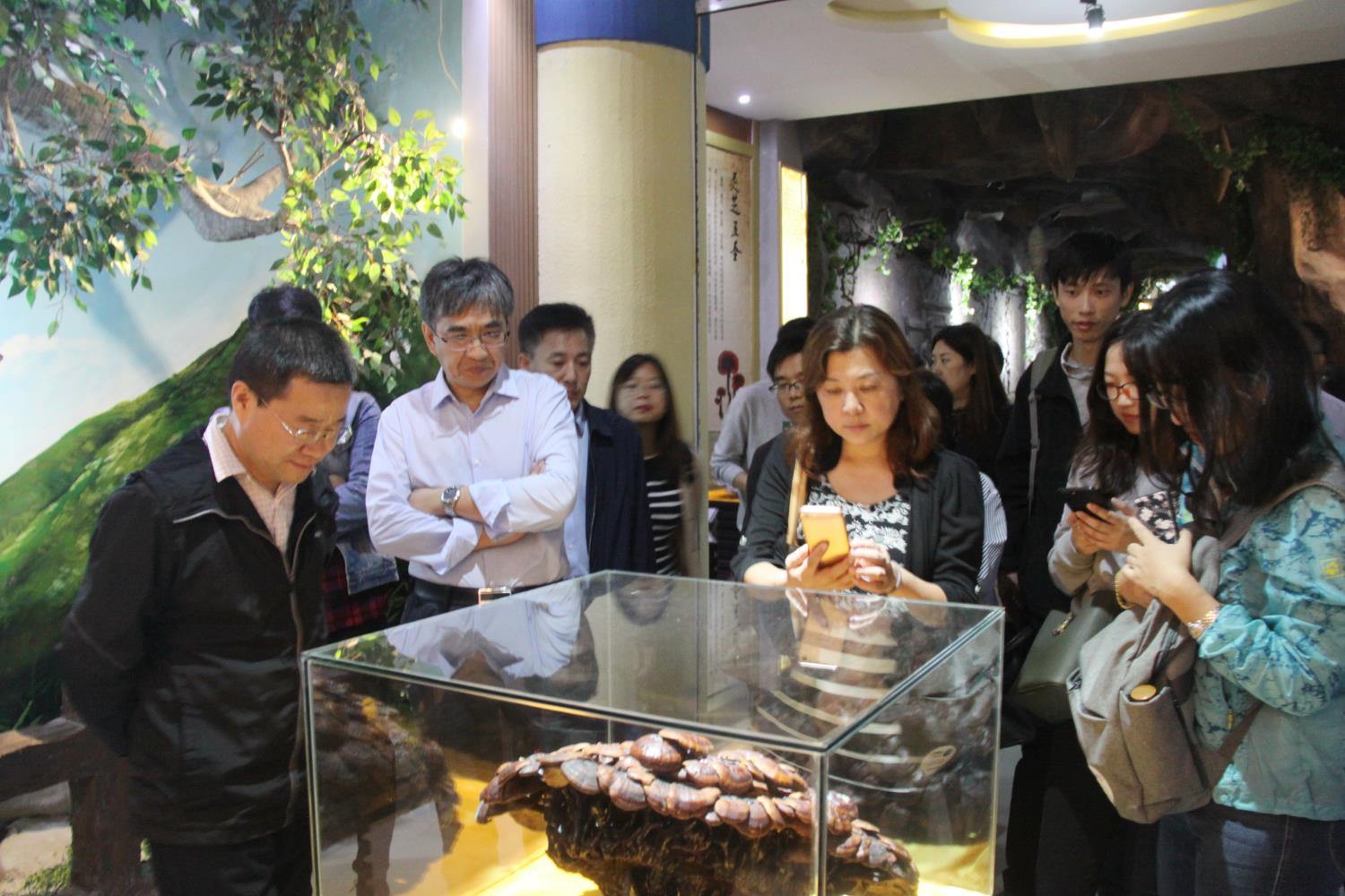 中國靈芝十大品牌|仙客來靈芝|仙客來靈芝破壁孢子粉|仙客來孢子油|仙客來靈芝飲片|仙客來破壁孢子粉|仙客來靈芝中藥飲片|馳名商標(biāo)|m.ampersand-ads.com| 中國靈芝十大品牌|仙客來靈芝|仙客來靈芝破壁孢子粉|仙客來孢子油|仙客來靈芝飲片|仙客來破壁孢子粉|仙客來靈芝中藥飲片|馳名商標(biāo)|m.ampersand-ads.com|