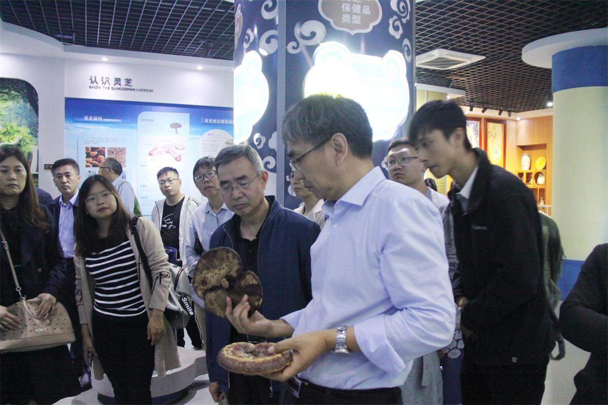 中國靈芝十大品牌|仙客來靈芝|仙客來靈芝破壁孢子粉|仙客來孢子油|仙客來靈芝飲片|仙客來破壁孢子粉|仙客來靈芝中藥飲片|馳名商標(biāo)|m.ampersand-ads.com| 中國靈芝十大品牌|仙客來靈芝|仙客來靈芝破壁孢子粉|仙客來孢子油|仙客來靈芝飲片|仙客來破壁孢子粉|仙客來靈芝中藥飲片|馳名商標(biāo)|m.ampersand-ads.com|