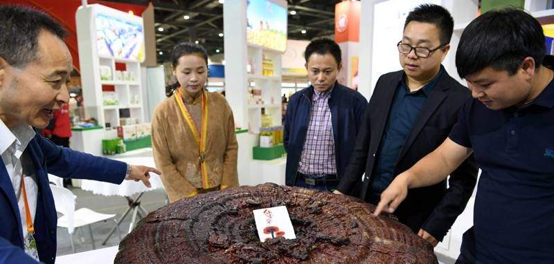 中國(guó)靈芝十大品牌|仙客來靈芝|仙客來靈芝破壁孢子粉|仙客來孢子油|仙客來靈芝飲片|仙客來破壁孢子粉|仙客來靈芝中藥飲片|馳名商標(biāo)|m.ampersand-ads.com| 中國(guó)靈芝十大品牌|仙客來靈芝|仙客來靈芝破壁孢子粉|仙客來孢子油|仙客來靈芝飲片|仙客來破壁孢子粉|仙客來靈芝中藥飲片|馳名商標(biāo)|m.ampersand-ads.com|