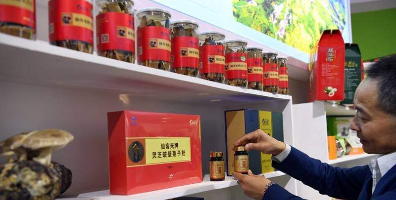 中國(guó)靈芝十大品牌|仙客來靈芝|仙客來靈芝破壁孢子粉|仙客來孢子油|仙客來靈芝飲片|仙客來破壁孢子粉|仙客來靈芝中藥飲片|馳名商標(biāo)|m.ampersand-ads.com| 中國(guó)靈芝十大品牌|仙客來靈芝|仙客來靈芝破壁孢子粉|仙客來孢子油|仙客來靈芝飲片|仙客來破壁孢子粉|仙客來靈芝中藥飲片|馳名商標(biāo)|m.ampersand-ads.com|