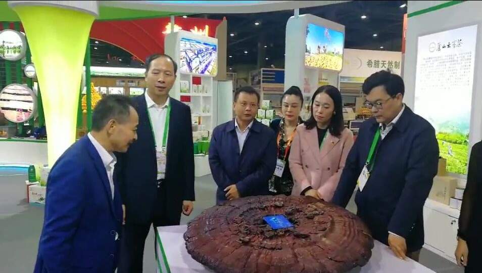 中國(guó)靈芝十大品牌|仙客來靈芝|仙客來靈芝破壁孢子粉|仙客來孢子油|仙客來靈芝飲片|仙客來破壁孢子粉|仙客來靈芝中藥飲片|馳名商標(biāo)|m.ampersand-ads.com| 中國(guó)靈芝十大品牌|仙客來靈芝|仙客來靈芝破壁孢子粉|仙客來孢子油|仙客來靈芝飲片|仙客來破壁孢子粉|仙客來靈芝中藥飲片|馳名商標(biāo)|m.ampersand-ads.com|