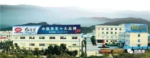 中國靈芝十大品牌|仙客來靈芝|仙客來靈芝破壁孢子粉|仙客來孢子油|仙客來靈芝飲片|仙客來破壁孢子粉|仙客來靈芝中藥飲片|馳名商標(biāo)|m.ampersand-ads.com| 中國靈芝十大品牌|仙客來靈芝|仙客來靈芝破壁孢子粉|仙客來孢子油|仙客來靈芝飲片|仙客來破壁孢子粉|仙客來靈芝中藥飲片|馳名商標(biāo)|m.ampersand-ads.com|