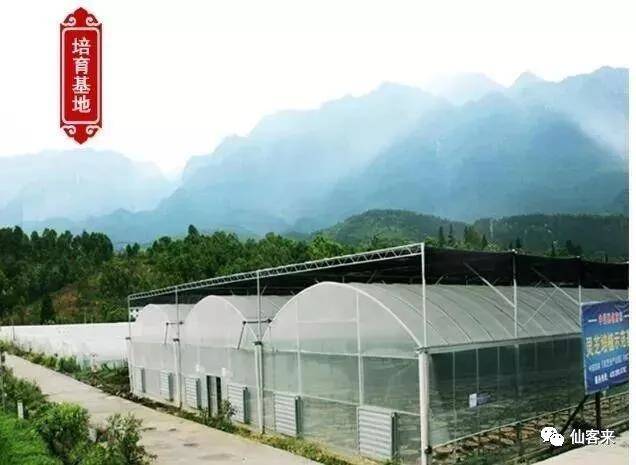 中國靈芝十大品牌|仙客來靈芝|仙客來靈芝破壁孢子粉|仙客來孢子油|仙客來靈芝飲片|仙客來破壁孢子粉|仙客來靈芝中藥飲片|馳名商標(biāo)|m.ampersand-ads.com| 中國靈芝十大品牌|仙客來靈芝|仙客來靈芝破壁孢子粉|仙客來孢子油|仙客來靈芝飲片|仙客來破壁孢子粉|仙客來靈芝中藥飲片|馳名商標(biāo)|m.ampersand-ads.com|