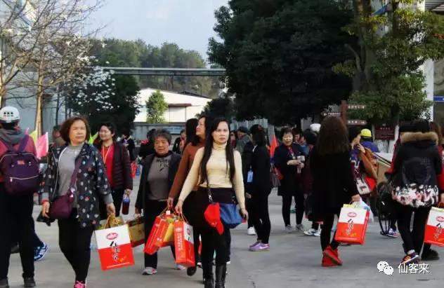 中國靈芝十大品牌|仙客來靈芝|仙客來靈芝破壁孢子粉|仙客來孢子油|仙客來靈芝飲片|仙客來破壁孢子粉|仙客來靈芝中藥飲片|馳名商標(biāo)|m.ampersand-ads.com| 中國靈芝十大品牌|仙客來靈芝|仙客來靈芝破壁孢子粉|仙客來孢子油|仙客來靈芝飲片|仙客來破壁孢子粉|仙客來靈芝中藥飲片|馳名商標(biāo)|m.ampersand-ads.com|
