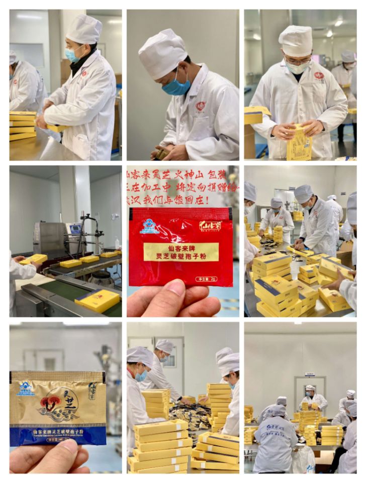 中國(guó)靈芝十大品牌|仙客來(lái)靈芝|仙客來(lái)靈芝破壁孢子粉|仙客來(lái)孢子油|仙客來(lái)靈芝飲片|仙客來(lái)破壁孢子粉|仙客來(lái)靈芝中藥飲片|馳名商標(biāo)|m.ampersand-ads.com| 中國(guó)靈芝十大品牌|仙客來(lái)靈芝|仙客來(lái)靈芝破壁孢子粉|仙客來(lái)孢子油|仙客來(lái)靈芝飲片|仙客來(lái)破壁孢子粉|仙客來(lái)靈芝中藥飲片|馳名商標(biāo)|m.ampersand-ads.com|