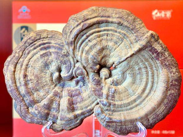 1581676816138643.jpg lADPDeC2vAPohqPNA8DNBQA_1280_960.jpg_620x10000q90g.jpg