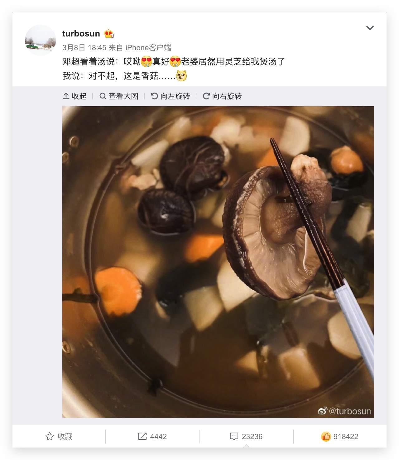 杭州亞運(yùn)會(huì)官方靈芝產(chǎn)品供應(yīng)商|杭州亞運(yùn)會(huì)官方供應(yīng)商|中國(guó)靈芝十大品牌|仙客來靈芝|仙客來靈芝破壁孢子粉|仙客來孢子油|仙客來靈芝飲片|仙客來破壁孢子粉|靈芝孢子油|孢子粉|靈芝破壁孢子粉|靈芝|中華老字號(hào) 杭州亞運(yùn)會(huì)官方靈芝產(chǎn)品供應(yīng)商|杭州亞運(yùn)會(huì)官方供應(yīng)商|中國(guó)靈芝十大品牌|仙客來靈芝|仙客來靈芝破壁孢子粉|仙客來孢子油|仙客來靈芝飲片|仙客來破壁孢子粉|靈芝孢子油|孢子粉|靈芝破壁孢子粉|靈芝|中華老字號(hào)