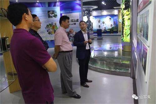 杭州亞運會官方靈芝產品供應商|杭州亞運會官方供應商|中國靈芝十大品牌|仙客來靈芝|仙客來靈芝破壁孢子粉|仙客來孢子油|仙客來靈芝飲片|仙客來破壁孢子粉|靈芝孢子油|孢子粉|靈芝破壁孢子粉|靈芝|中華老字號 杭州亞運會官方靈芝產品供應商|杭州亞運會官方供應商|中國靈芝十大品牌|仙客來靈芝|仙客來靈芝破壁孢子粉|仙客來孢子油|仙客來靈芝飲片|仙客來破壁孢子粉|靈芝孢子油|孢子粉|靈芝破壁孢子粉|靈芝|中華老字號