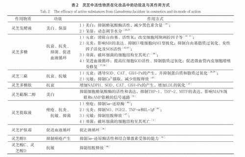 杭州亞運(yùn)會(huì)官方靈芝產(chǎn)品供應(yīng)商|杭州亞運(yùn)會(huì)官方供應(yīng)商|中國(guó)靈芝十大品牌|仙客來(lái)靈芝|仙客來(lái)靈芝破壁孢子粉|仙客來(lái)孢子油|仙客來(lái)靈芝飲片|仙客來(lái)破壁孢子粉|靈芝孢子油|孢子粉|靈芝破壁孢子粉|靈芝|中華老字號(hào)