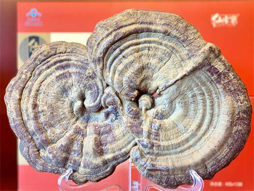 1589265693990445.jpeg IMG_3538.jpeg