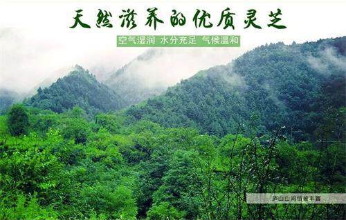 1590115285564255.jpg 5897B2FD29CD6B8BF461AE4F8EAFBF58_看圖王.jpg