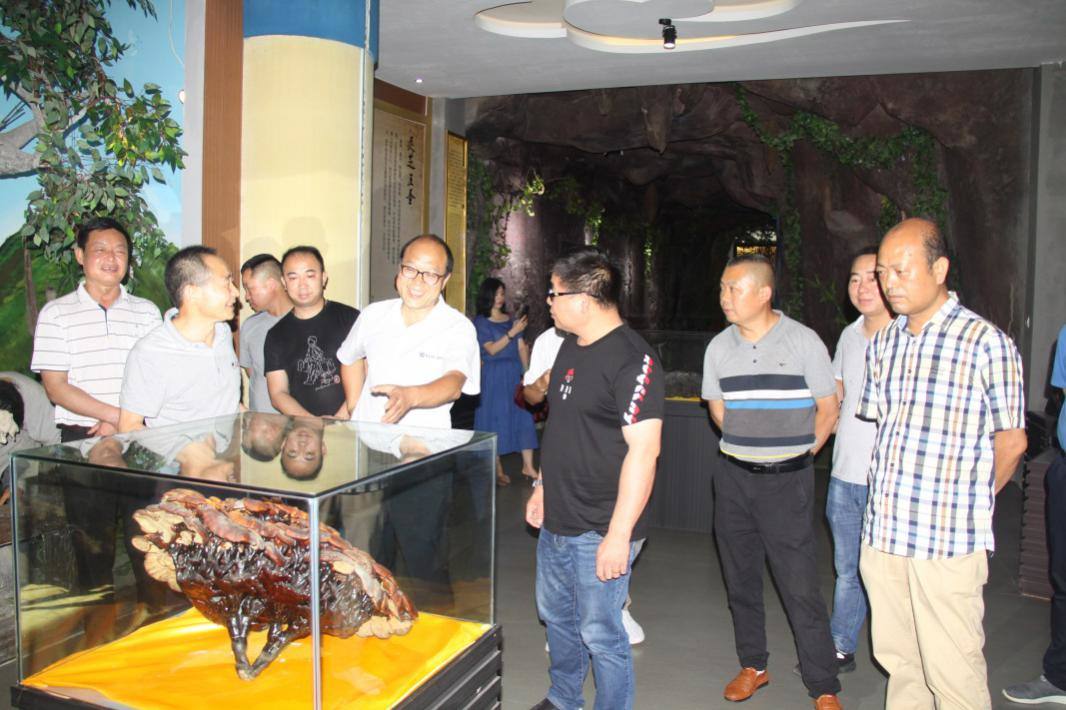 1591327860870809.jpeg image3.jpeg