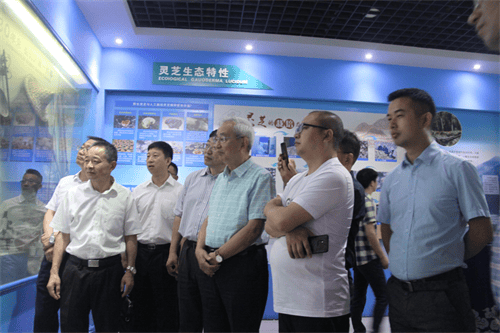 杭州亞運(yùn)會(huì)官方靈芝產(chǎn)品供應(yīng)商|杭州亞運(yùn)會(huì)官方供應(yīng)商|中國(guó)靈芝十大品牌|仙客來靈芝|仙客來靈芝破壁孢子粉|仙客來孢子油|仙客來靈芝飲片|仙客來破壁孢子粉|靈芝孢子油|孢子粉|靈芝破壁孢子粉|靈芝|中華老字號(hào)