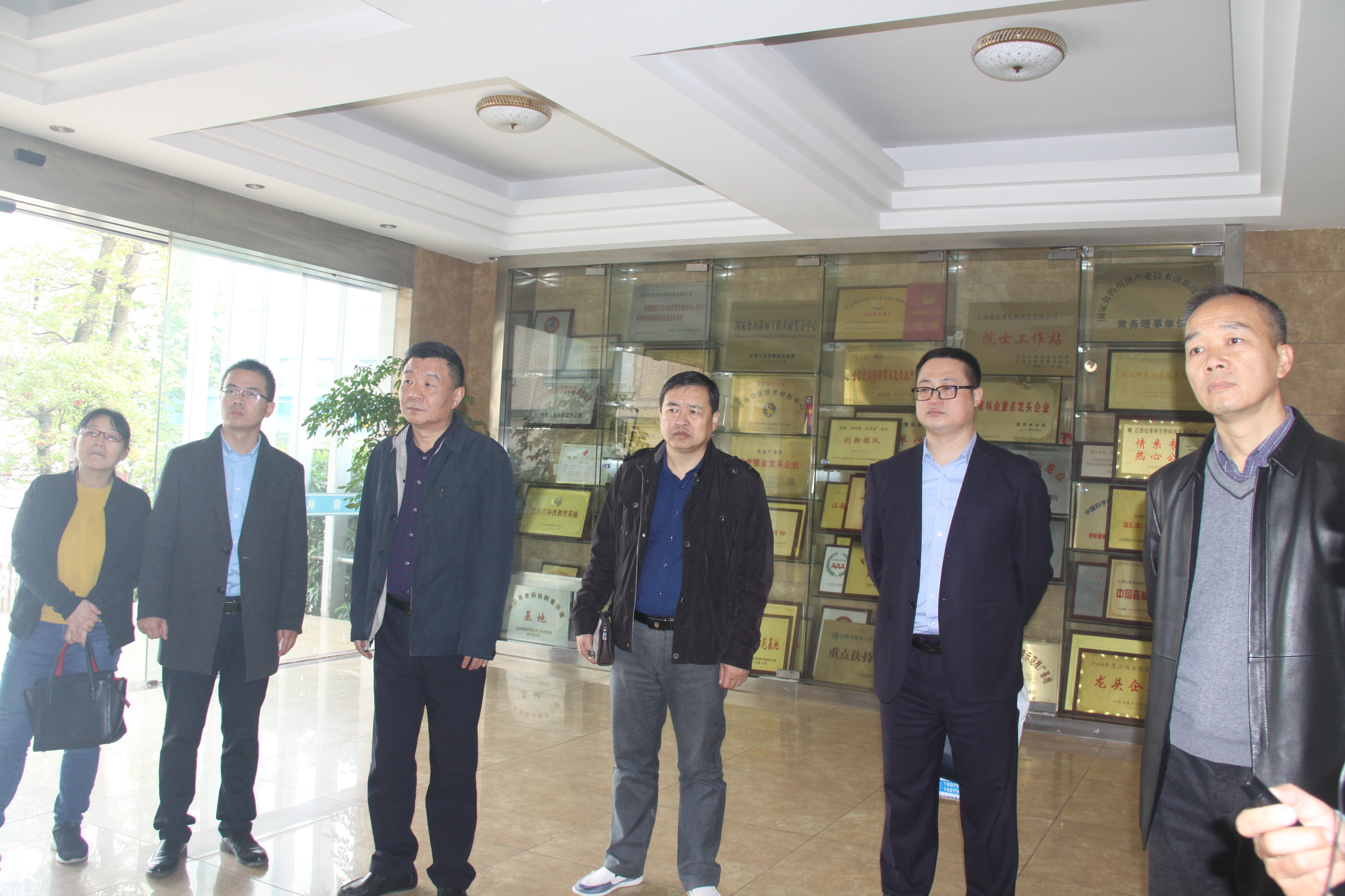 杭州亞運(yùn)會(huì)官方靈芝產(chǎn)品供應(yīng)商|杭州亞運(yùn)會(huì)官方供應(yīng)商|中國靈芝十大品牌|仙客來靈芝|仙客來靈芝破壁孢子粉|仙客來孢子油|仙客來靈芝飲片|仙客來破壁孢子粉|靈芝孢子油|孢子粉|靈芝破壁孢子粉|靈芝|中華老字號