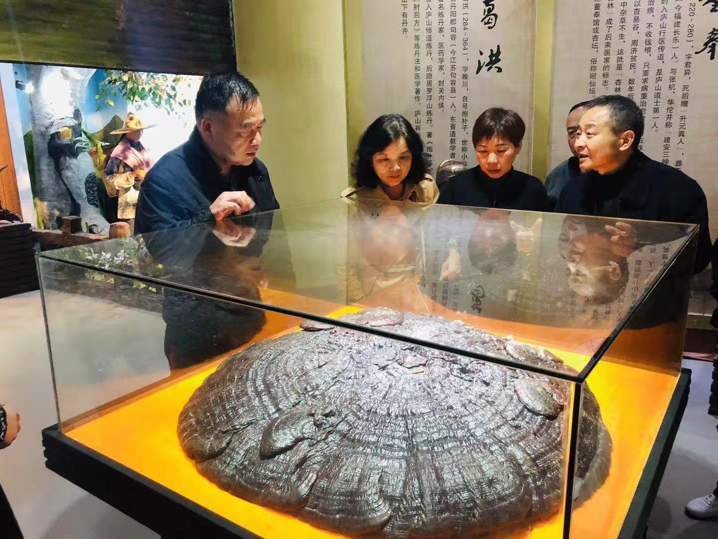 杭州亞運(yùn)會(huì)官方靈芝產(chǎn)品供應(yīng)商|杭州亞運(yùn)會(huì)官方供應(yīng)商|中國(guó)靈芝十大品牌|仙客來(lái)靈芝|仙客來(lái)靈芝破壁孢子粉|仙客來(lái)孢子油|仙客來(lái)靈芝飲片|仙客來(lái)破壁孢子粉|靈芝孢子油|孢子粉|靈芝破壁孢子粉|靈芝|中華老字號(hào)