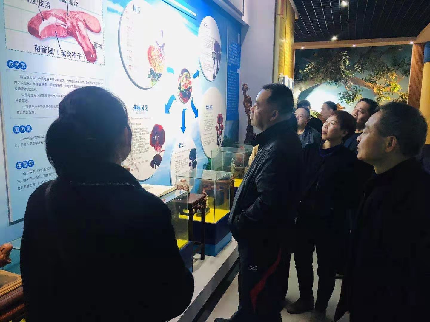 杭州亞運(yùn)會(huì)官方靈芝產(chǎn)品供應(yīng)商|杭州亞運(yùn)會(huì)官方供應(yīng)商|中國(guó)靈芝十大品牌|仙客來(lái)靈芝|仙客來(lái)靈芝破壁孢子粉|仙客來(lái)孢子油|仙客來(lái)靈芝飲片|仙客來(lái)破壁孢子粉|靈芝孢子油|孢子粉|靈芝破壁孢子粉|靈芝|中華老字號(hào) 杭州亞運(yùn)會(huì)官方靈芝產(chǎn)品供應(yīng)商|杭州亞運(yùn)會(huì)官方供應(yīng)商|中國(guó)靈芝十大品牌|仙客來(lái)靈芝|仙客來(lái)靈芝破壁孢子粉|仙客來(lái)孢子油|仙客來(lái)靈芝飲片|仙客來(lái)破壁孢子粉|靈芝孢子油|孢子粉|靈芝破壁孢子粉|靈芝|中華老字號(hào)