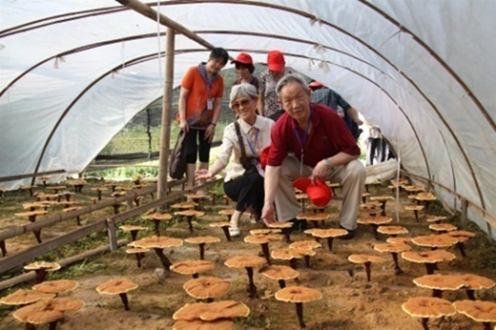 杭州亞運(yùn)會(huì)官方靈芝產(chǎn)品供應(yīng)商|杭州亞運(yùn)會(huì)官方供應(yīng)商|中國靈芝十大品牌|仙客來靈芝|仙客來靈芝破壁孢子粉|仙客來孢子油|仙客來靈芝飲片|仙客來破壁孢子粉|靈芝孢子油|孢子粉|靈芝破壁孢子粉|靈芝|中華老字號(hào) 杭州亞運(yùn)會(huì)官方靈芝產(chǎn)品供應(yīng)商|杭州亞運(yùn)會(huì)官方供應(yīng)商|中國靈芝十大品牌|仙客來靈芝|仙客來靈芝破壁孢子粉|仙客來孢子油|仙客來靈芝飲片|仙客來破壁孢子粉|靈芝孢子油|孢子粉|靈芝破壁孢子粉|靈芝|中華老字號(hào)