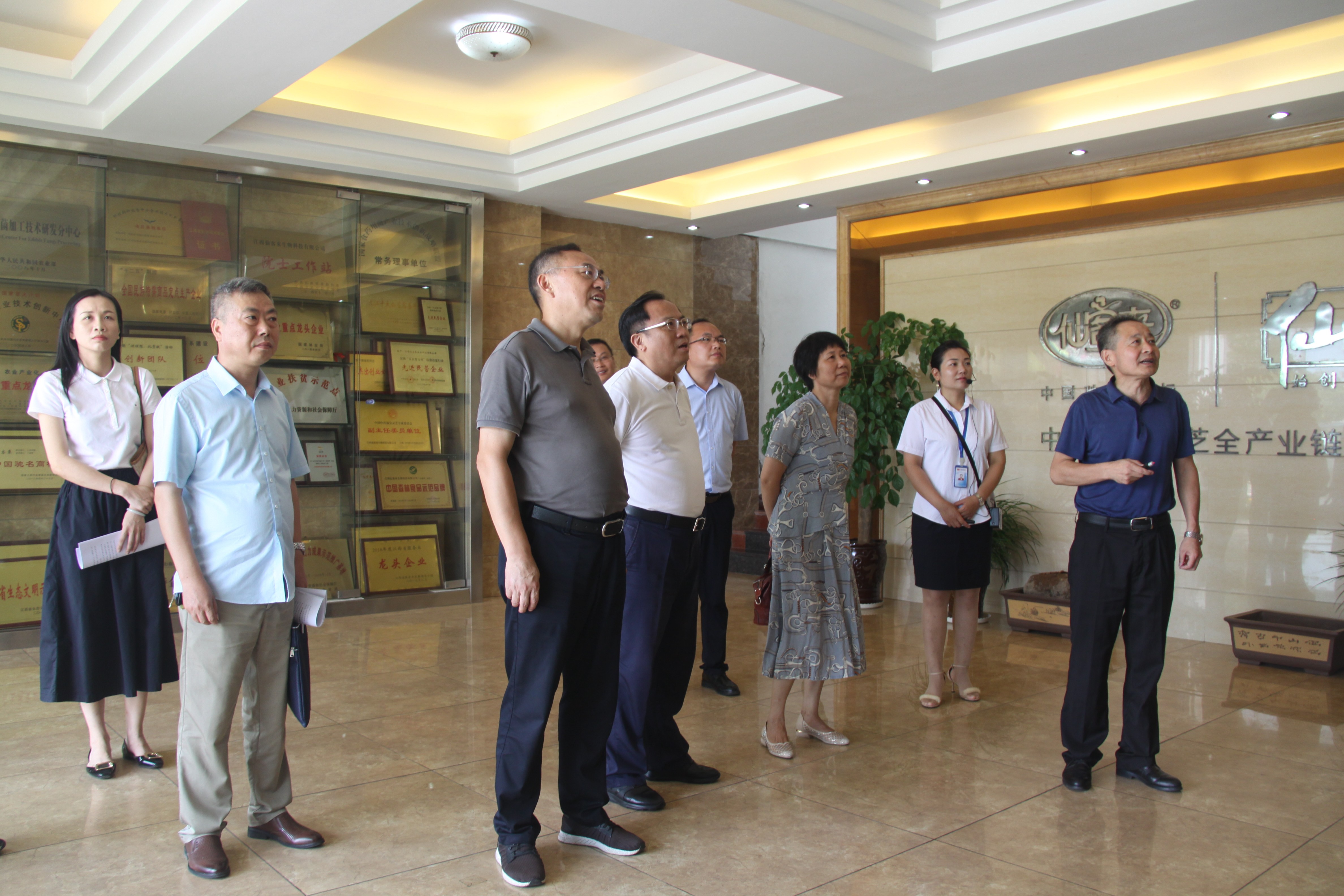 杭州亞運(yùn)會(huì)官方靈芝產(chǎn)品供應(yīng)商|杭州亞運(yùn)會(huì)官方供應(yīng)商|中國靈芝十大品牌|仙客來靈芝|仙客來靈芝破壁孢子粉|仙客來孢子油|仙客來靈芝飲片|仙客來破壁孢子粉|靈芝孢子油|孢子粉|靈芝破壁孢子粉|靈芝|中華老字號 杭州亞運(yùn)會(huì)官方靈芝產(chǎn)品供應(yīng)商|杭州亞運(yùn)會(huì)官方供應(yīng)商|中國靈芝十大品牌|仙客來靈芝|仙客來靈芝破壁孢子粉|仙客來孢子油|仙客來靈芝飲片|仙客來破壁孢子粉|靈芝孢子油|孢子粉|靈芝破壁孢子粉|靈芝|中華老字號