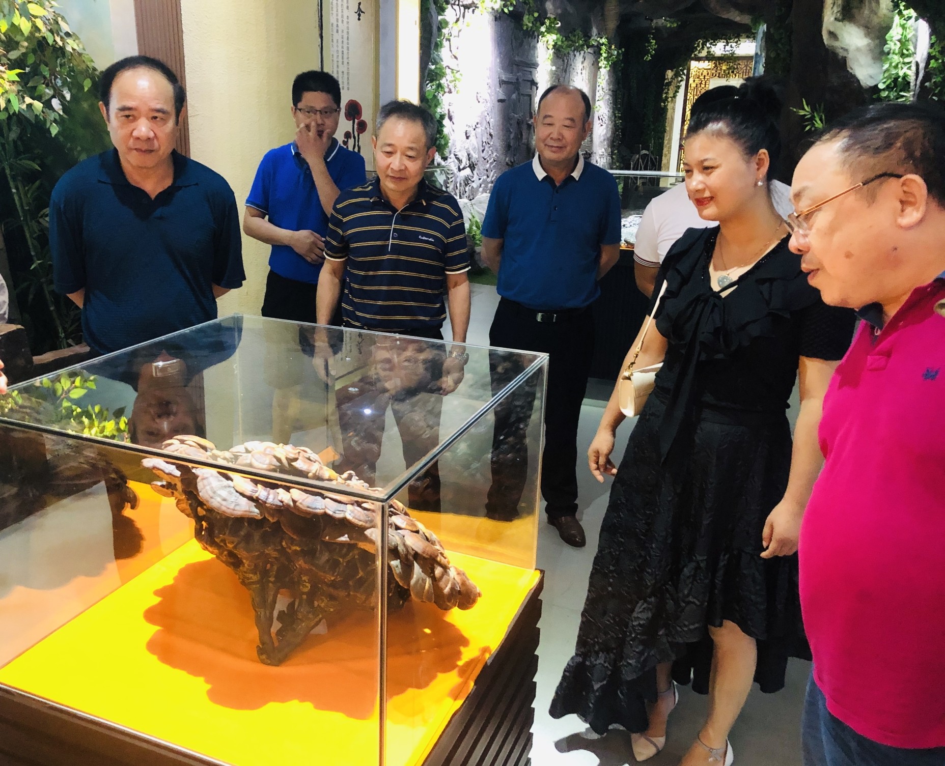 杭州亞運會官方靈芝產(chǎn)品供應(yīng)商|杭州亞運會官方供應(yīng)商|中國靈芝十大品牌|仙客來靈芝|仙客來靈芝破壁孢子粉|仙客來孢子油|仙客來靈芝飲片|仙客來破壁孢子粉|靈芝孢子油|孢子粉|靈芝破壁孢子粉|靈芝|中華老字號 杭州亞運會官方靈芝產(chǎn)品供應(yīng)商|杭州亞運會官方供應(yīng)商|中國靈芝十大品牌|仙客來靈芝|仙客來靈芝破壁孢子粉|仙客來孢子油|仙客來靈芝飲片|仙客來破壁孢子粉|靈芝孢子油|孢子粉|靈芝破壁孢子粉|靈芝|中華老字號