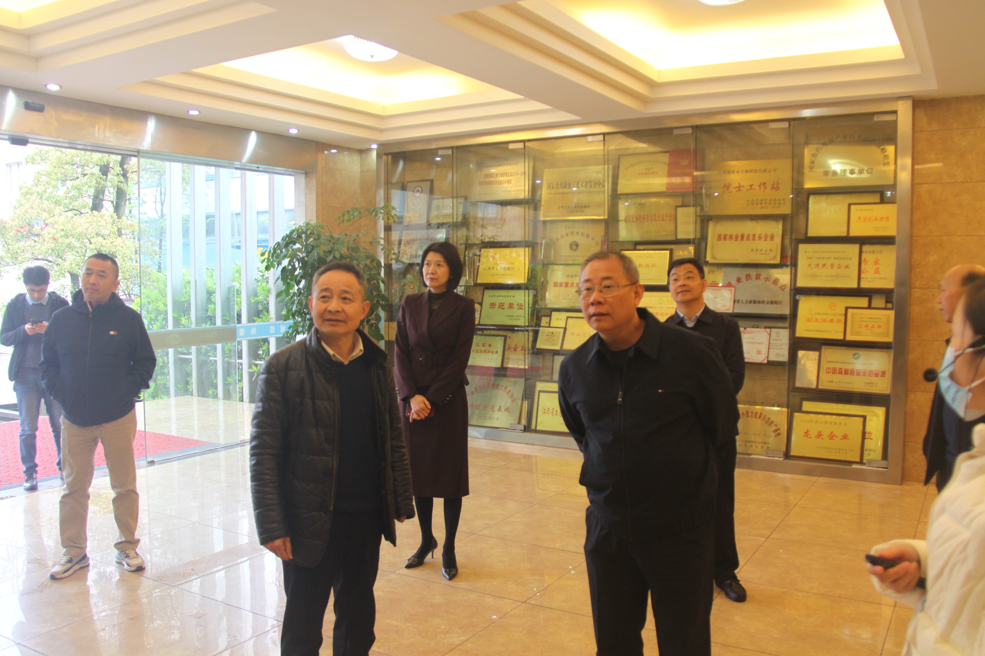 杭州亞運(yùn)會官方靈芝產(chǎn)品供應(yīng)商|杭州亞運(yùn)會官方供應(yīng)商|中國靈芝十大品牌|仙客來靈芝|仙客來靈芝破壁孢子粉|仙客來孢子油|仙客來靈芝飲片|仙客來破壁孢子粉|靈芝孢子油|孢子粉|靈芝破壁孢子粉|靈芝|中華老字號