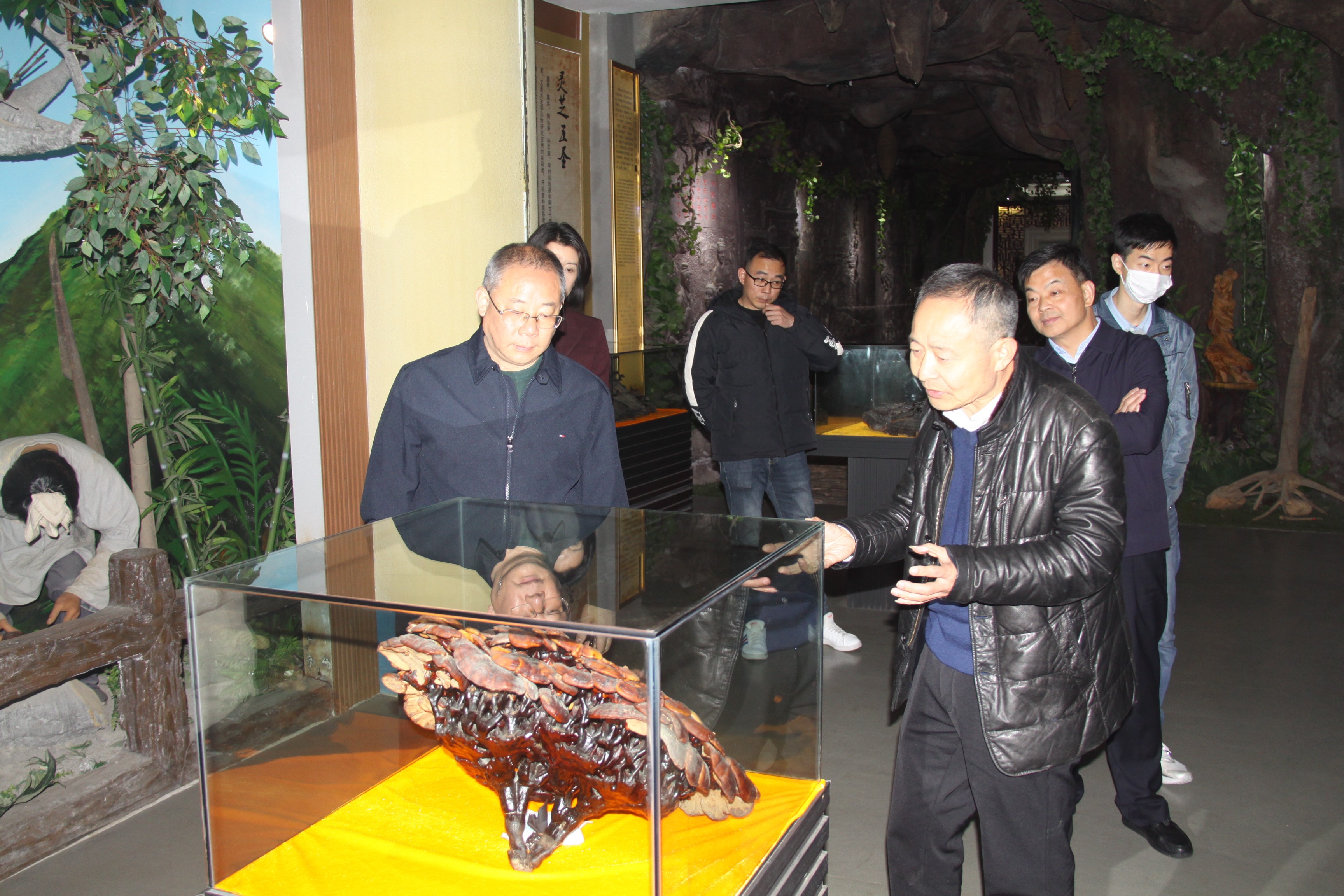 杭州亞運(yùn)會官方靈芝產(chǎn)品供應(yīng)商|杭州亞運(yùn)會官方供應(yīng)商|中國靈芝十大品牌|仙客來靈芝|仙客來靈芝破壁孢子粉|仙客來孢子油|仙客來靈芝飲片|仙客來破壁孢子粉|靈芝孢子油|孢子粉|靈芝破壁孢子粉|靈芝|中華老字號