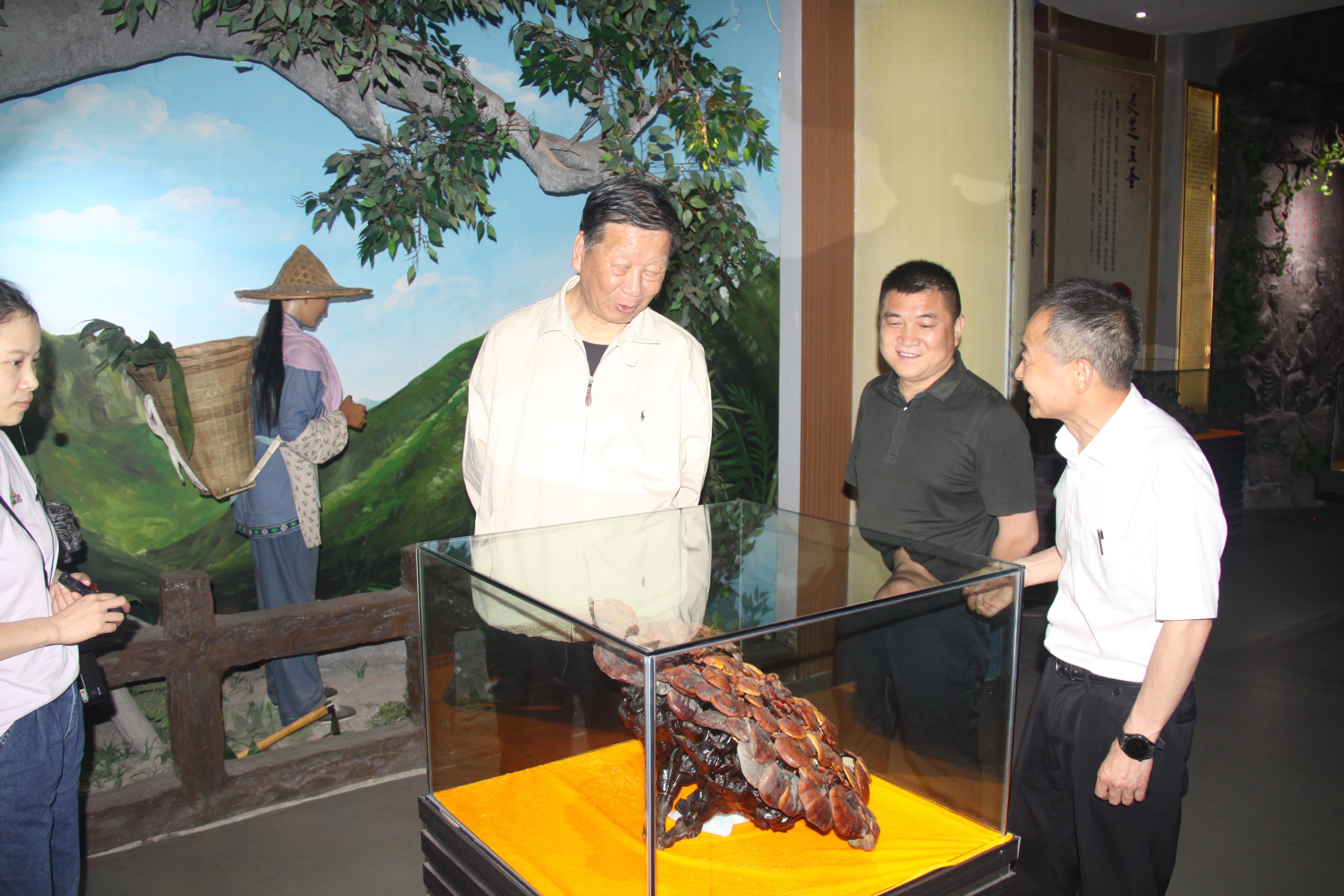 杭州亞運(yùn)會官方靈芝產(chǎn)品供應(yīng)商|杭州亞運(yùn)會官方供應(yīng)商|中國靈芝十大品牌|仙客來靈芝|仙客來靈芝破壁孢子粉|仙客來孢子油|仙客來靈芝飲片|仙客來破壁孢子粉|靈芝孢子油|孢子粉|靈芝破壁孢子粉|靈芝|中華老字號