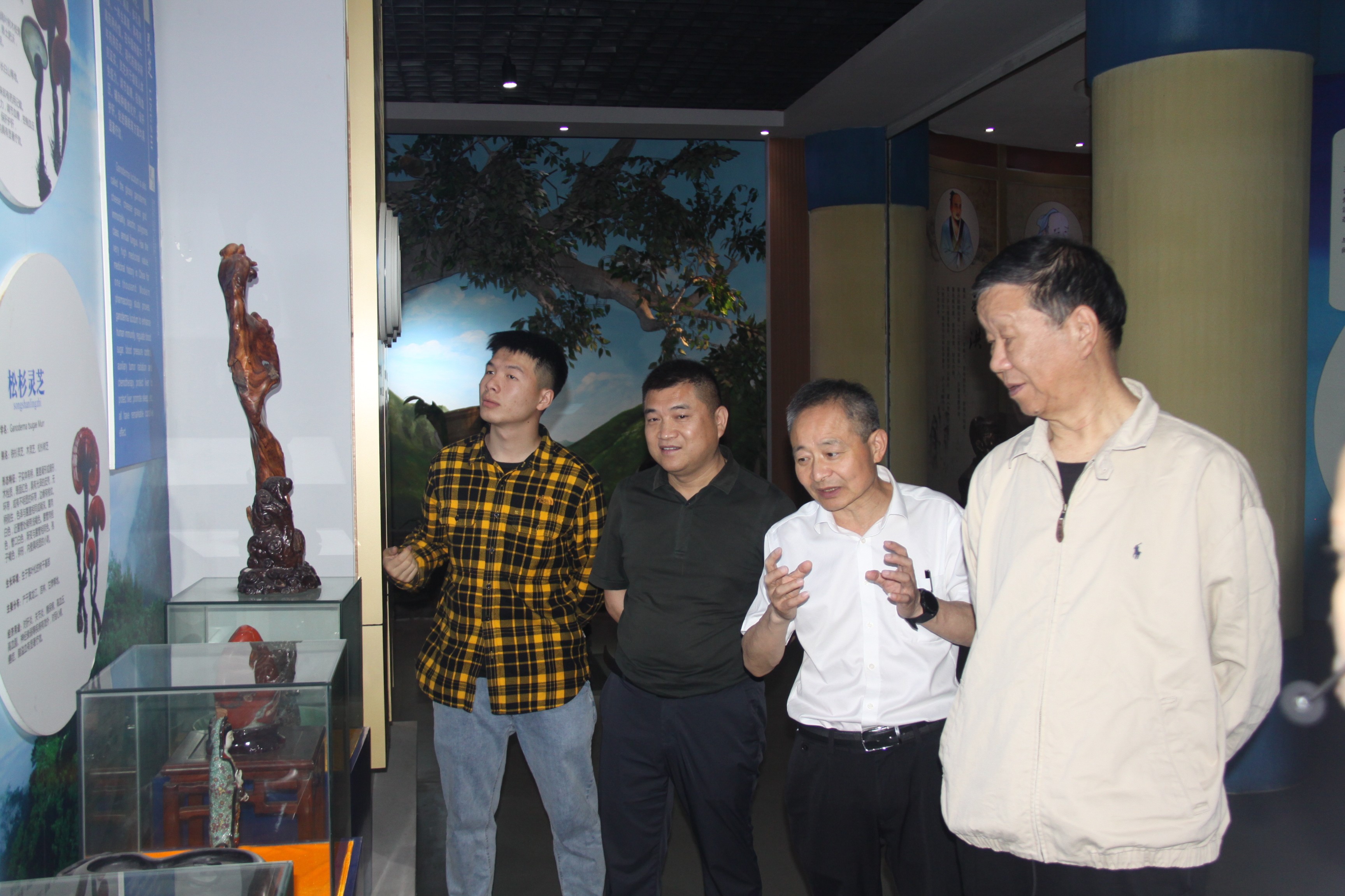 杭州亞運(yùn)會官方靈芝產(chǎn)品供應(yīng)商|杭州亞運(yùn)會官方供應(yīng)商|中國靈芝十大品牌|仙客來靈芝|仙客來靈芝破壁孢子粉|仙客來孢子油|仙客來靈芝飲片|仙客來破壁孢子粉|靈芝孢子油|孢子粉|靈芝破壁孢子粉|靈芝|中華老字號