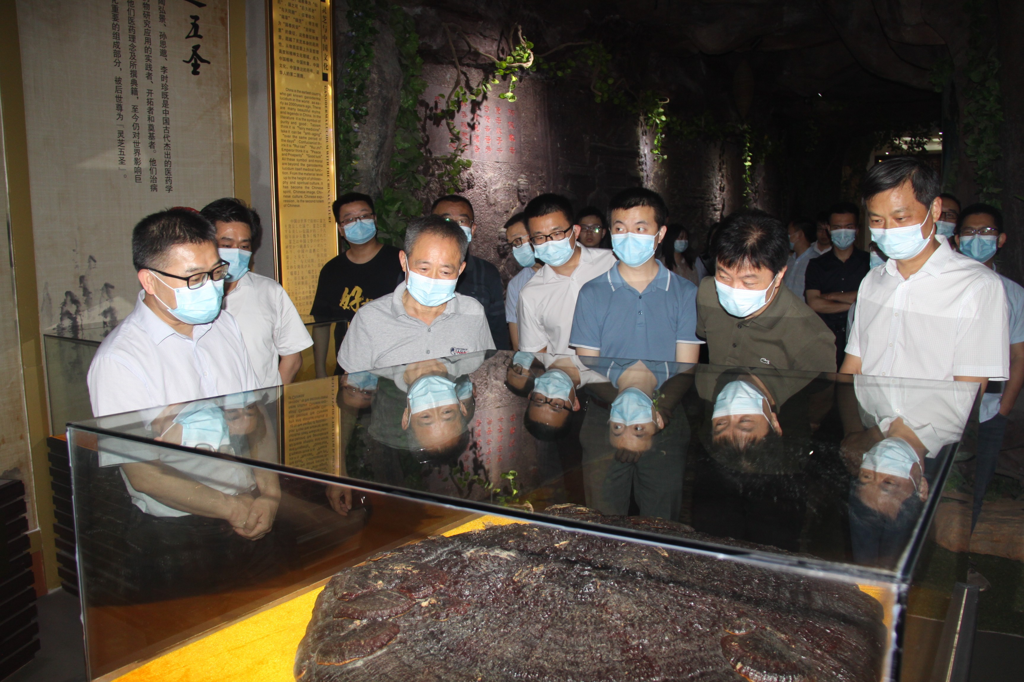 杭州亞運(yùn)會(huì)官方靈芝產(chǎn)品供應(yīng)商|杭州亞運(yùn)會(huì)官方供應(yīng)商|中國靈芝十大品牌|仙客來靈芝|仙客來靈芝破壁孢子粉|仙客來孢子油|仙客來靈芝飲片|仙客來破壁孢子粉|靈芝孢子油|孢子粉|靈芝破壁孢子粉|靈芝|中華老字號(hào)