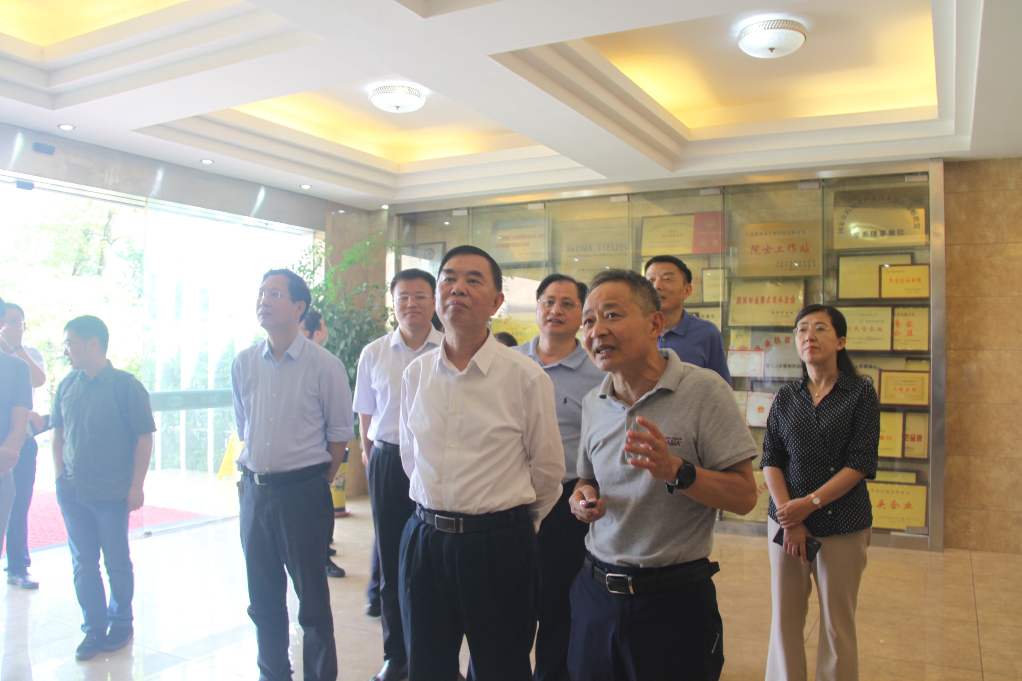 杭州亞運(yùn)會(huì)官方靈芝產(chǎn)品供應(yīng)商|杭州亞運(yùn)會(huì)官方供應(yīng)商|中國靈芝十大品牌|仙客來靈芝|仙客來靈芝破壁孢子粉|仙客來孢子油|仙客來靈芝飲片|仙客來破壁孢子粉|靈芝孢子油|孢子粉|靈芝破壁孢子粉|靈芝|中華老字號