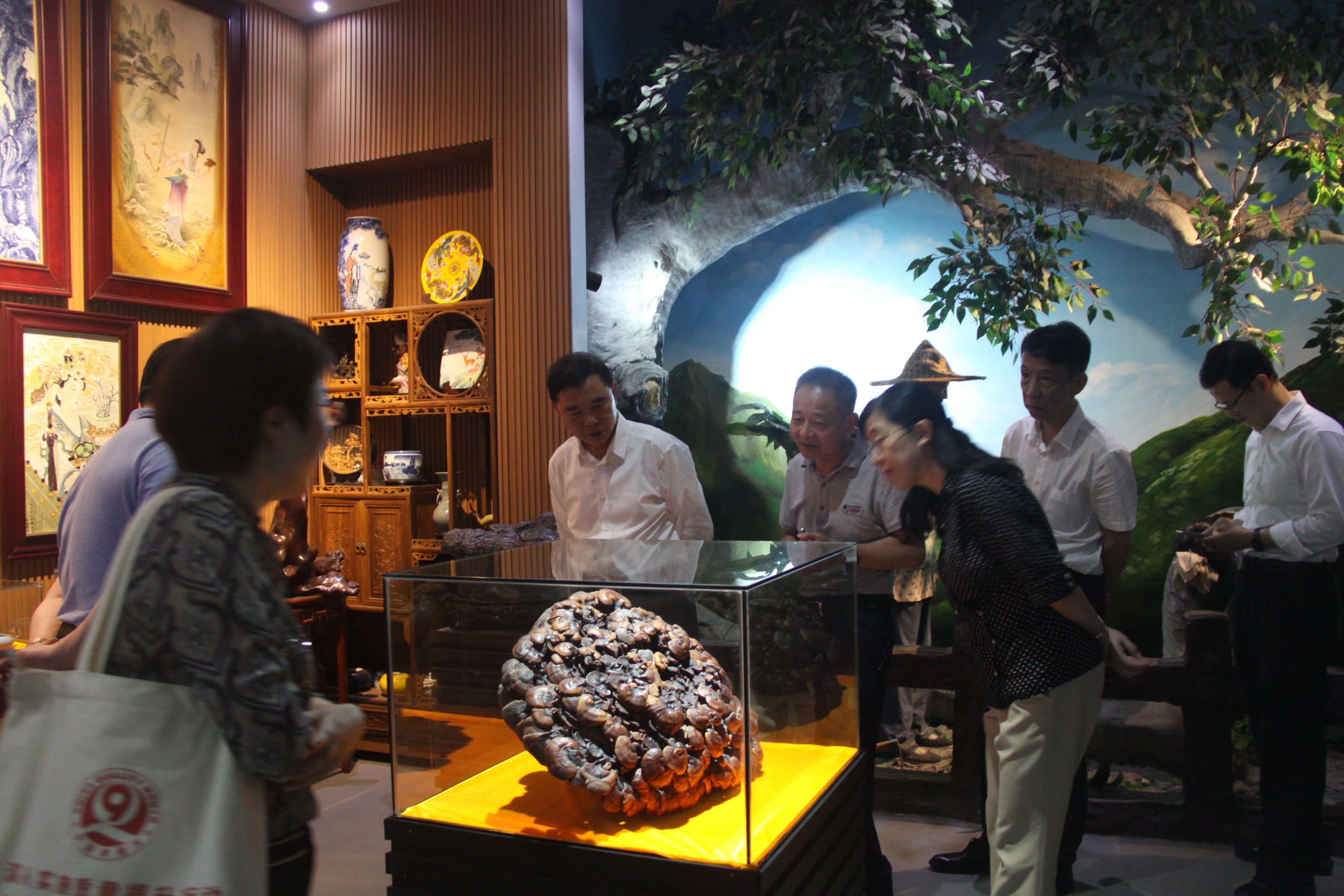 杭州亞運(yùn)會(huì)官方靈芝產(chǎn)品供應(yīng)商|杭州亞運(yùn)會(huì)官方供應(yīng)商|中國靈芝十大品牌|仙客來靈芝|仙客來靈芝破壁孢子粉|仙客來孢子油|仙客來靈芝飲片|仙客來破壁孢子粉|靈芝孢子油|孢子粉|靈芝破壁孢子粉|靈芝|中華老字號