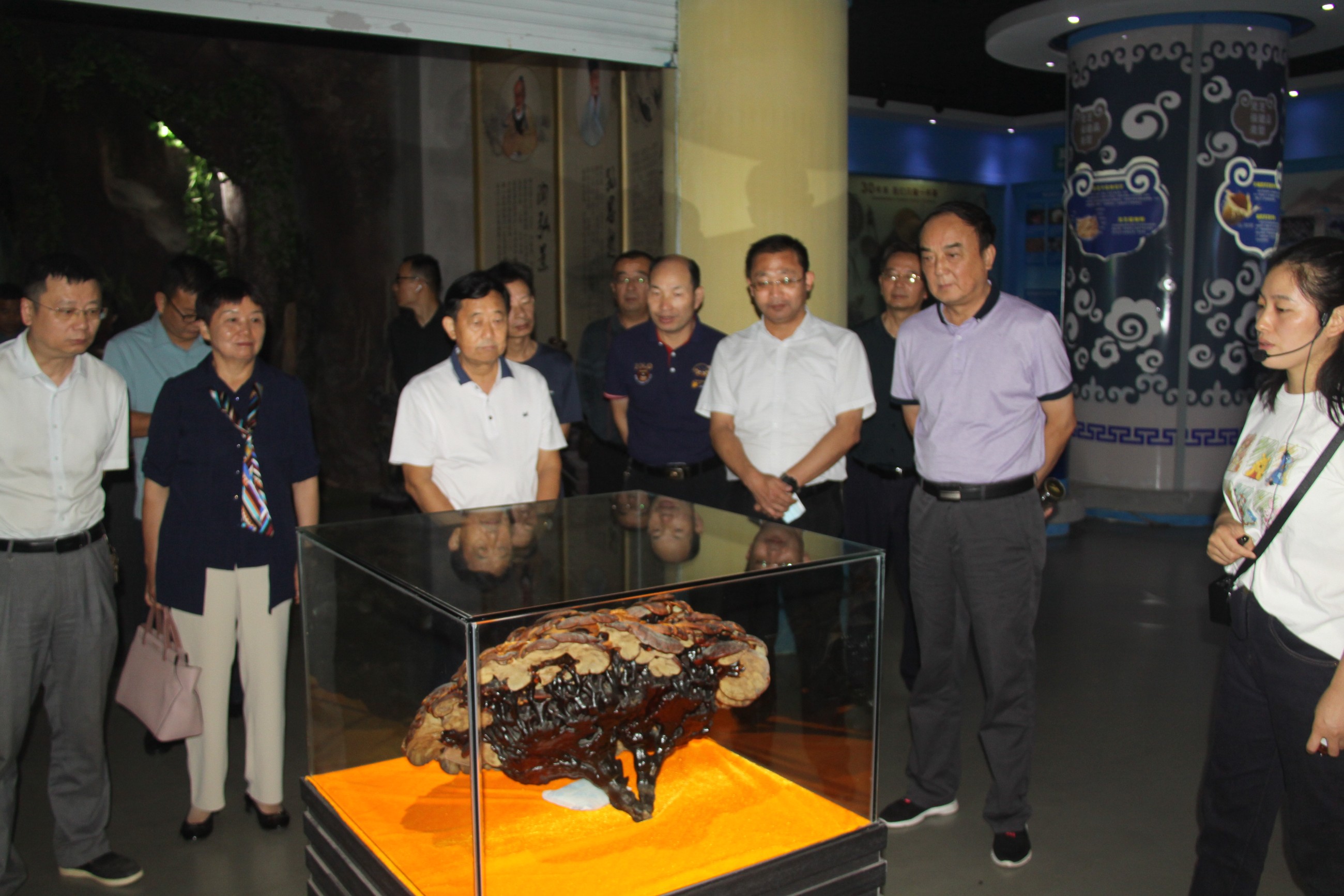 杭州亞運會官方靈芝產(chǎn)品供應(yīng)商|杭州亞運會官方供應(yīng)商|中國靈芝十大品牌|仙客來靈芝|仙客來靈芝破壁孢子粉|仙客來孢子油|仙客來靈芝飲片|仙客來破壁孢子粉|靈芝孢子油|孢子粉|靈芝破壁孢子粉|靈芝|中華老字號