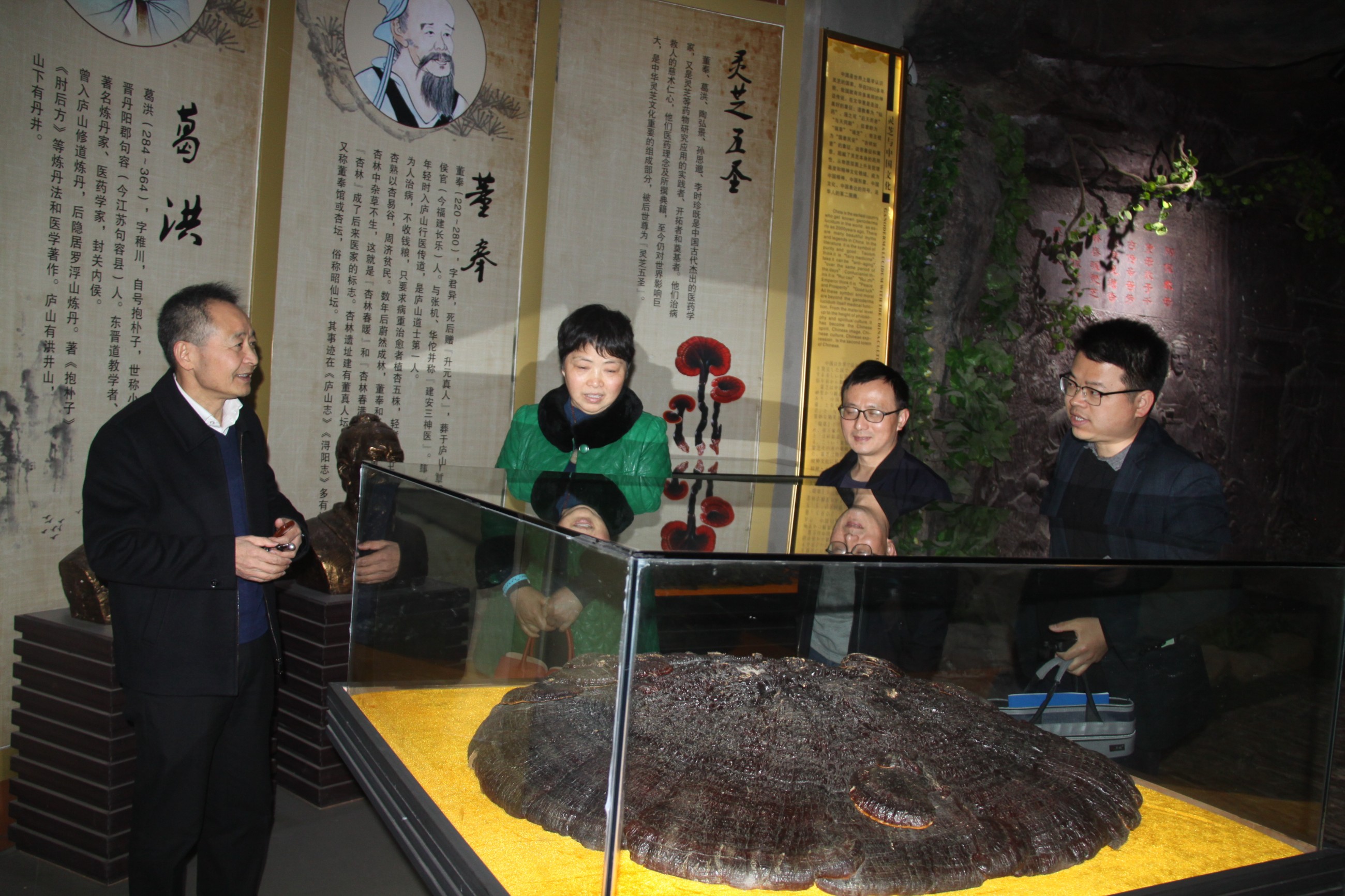 杭州亞運會官方靈芝產(chǎn)品供應商|杭州亞運會官方供應商|中國靈芝十大品牌|仙客來靈芝|仙客來靈芝破壁孢子粉|仙客來孢子油|仙客來靈芝飲片|仙客來破壁孢子粉|靈芝孢子油|孢子粉|靈芝破壁孢子粉|靈芝|中華老字號